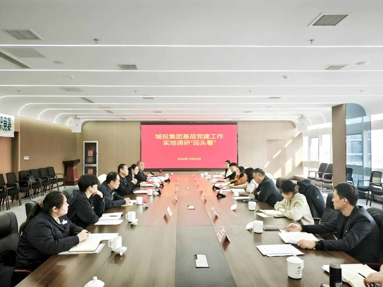 城投集團(tuán)調(diào)研組到水務(wù)集團(tuán)開展“抓學(xué)習(xí)、強(qiáng)調(diào)研、夯基礎(chǔ)、提質(zhì)效”基層黨建工作實(shí)地調(diào)研“回頭看”