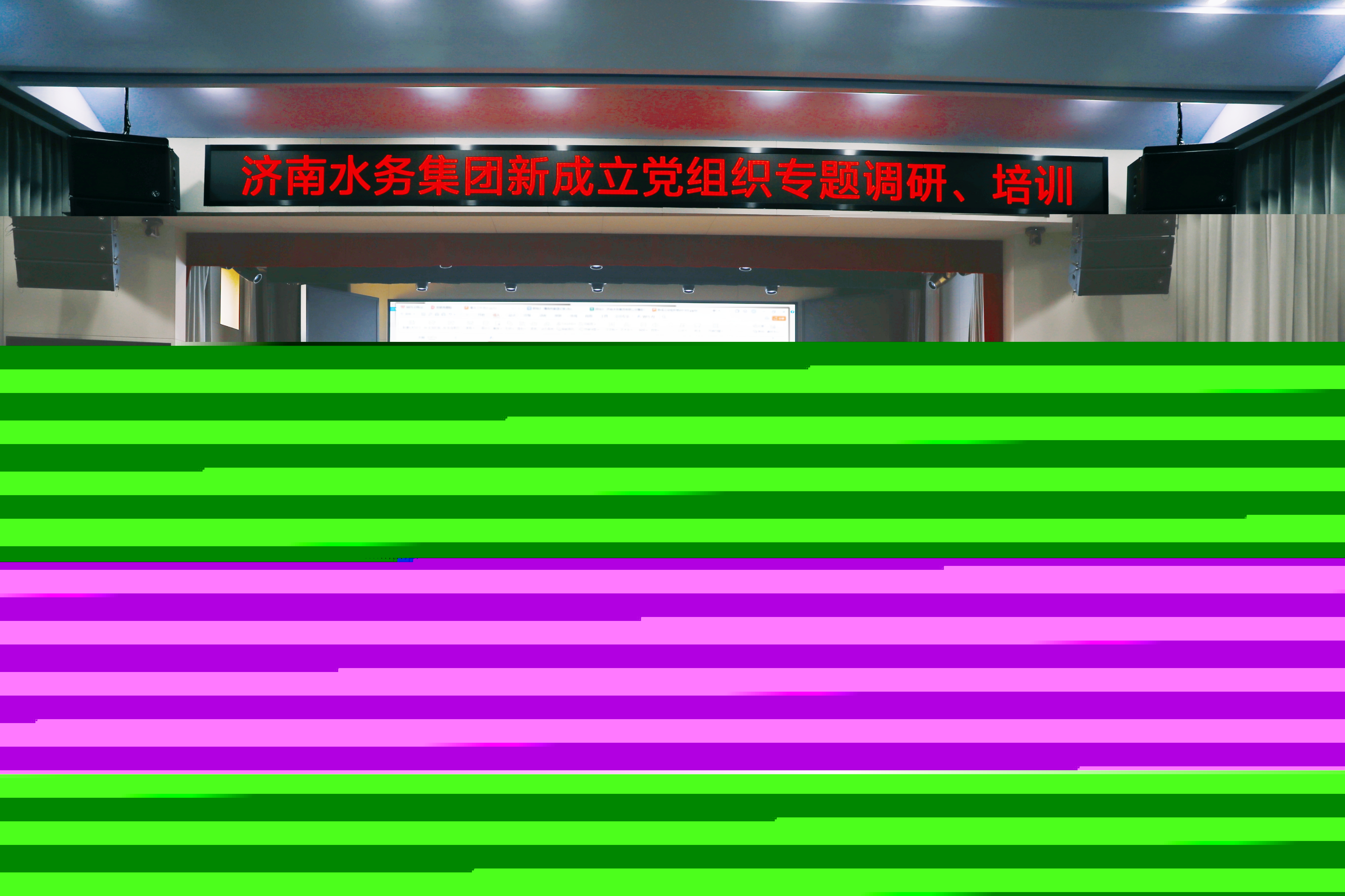 黨務(wù)培訓(xùn)“走新”更“走心”  實(shí)戰(zhàn)賦能強(qiáng)基固本——集團(tuán)開展新成立黨組織專題調(diào)研培訓(xùn)暨“我來講黨務(wù)”第五課